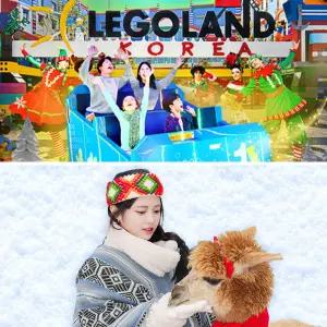 [강원] 레고랜드X알파카월드 패키지권/홍천/춘천/양떼목장/동물원/체험/가볼만한곳/테마파크/동물원/체험