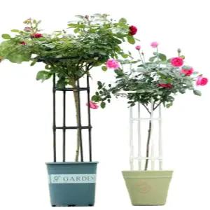 오벨리스크 장미아치 넝쿨 장미 지지대 덩굴 아치 정원 철제