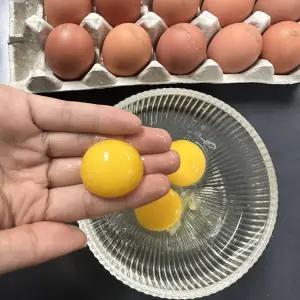 KM 특란 신선한 무항생제 사료 행복 생계란 60구