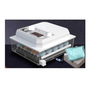 달걀 부화기 병아리 유정란 36란 자동 미니메추리 12개 부화기병아리 농가 계란 단일전기