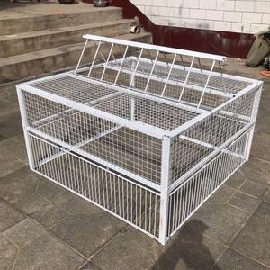 조류 비둘기트랩 퇴치 60x60cm 보호 자동 철장 과수원 퇴치망 유해조류