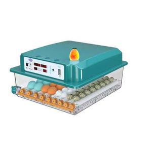 유정란 부화기 농장 시골 메추리 자동 12개 48개 온도제어 오리 전원) 사육기 농업용