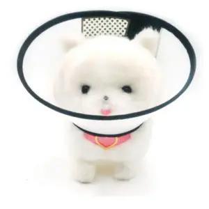 [하프클럽/]강아지넥카라 애완동물 목보호대 애견깔대기 중형 반투명