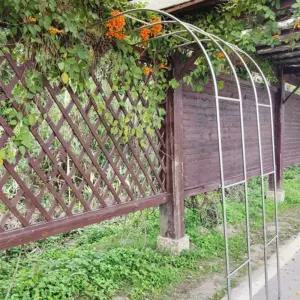 반쪽 하프 장미아치 울타리 장미울타리 지지대 스탠드