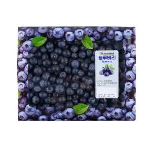 칠레산 블루베리 600g 박스