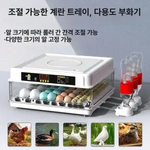 소형 부화기 알 병아리