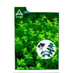 향이좋은 마조람 씨앗 허브 종자