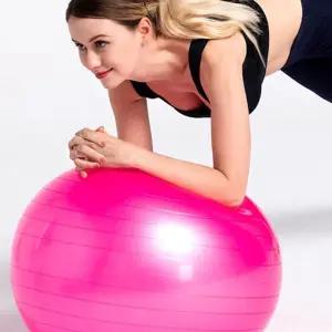 L19 요가 테스 운동 짐볼 공 볼 임산부짐볼 홈트 홈짐