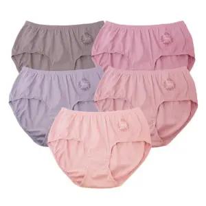 BYC 9114 나보아 부인용 순면 맥시 삼각팬티 5종 여성용