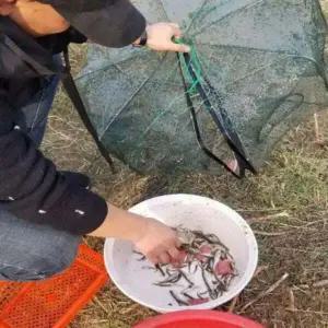 접이식 낚시용 사각 통발 그물망 새우 물고기 잡이 뜰채