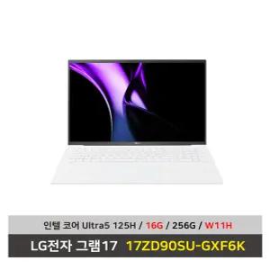 LG전자 그램17 노트북 17ZD90SU-GXF6K Ultra5 SSD256G+16G변경+Win11설치 무선마우스+마우스패드 - KW