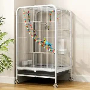 앵무새가 즐길 수 있는 대형 아크릴 새장과 놀이터