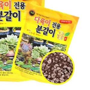다육이전용 분갈이흙 6L 스투키 화분선인장 비모란 산세베리아 알로에 식물 화흙 이흙