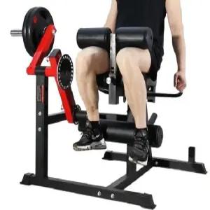 컬 하체운동 웨이트기구 근육 레그익스텐션 헬스장