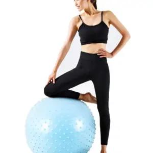 L01 짐볼 알라스칸볼드 65cm 홈트 운동 요가 스트레칭