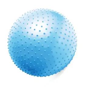 L82 짐볼 알래스칸 블루 65cm 코어 맛사지 운동 균형