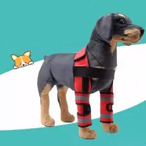 [콩심팥심]반려견 보호대 슬개골 지지대 강아지 보조기 용품