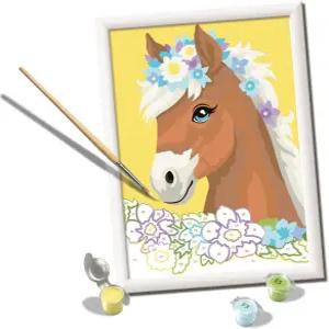 레이븐스버거 - 꽃이 피는 말 크리아트 페인팅 번호 키트 9세 이상 를 위한 재미있고 쉬운 DIY 아트 생일