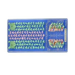 발지압매트 990X390MM 발바닥지압판 발지압기