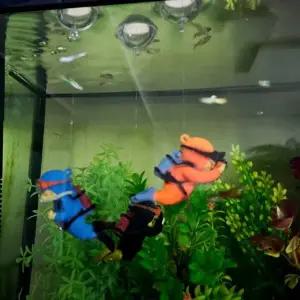 [콩심팥심]사진 촬영 어항 장식 피규어 해양 생물 꾸미기 장식용 아이템