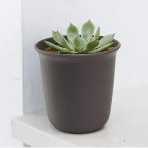 9x9 원형 플라스틱 빈 화분 미니 소형 분갈이 선인장