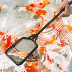 [콩심팥심]어항용 사각 그물망 물고기망 새우잡이 그물 어항뜰채 수조망