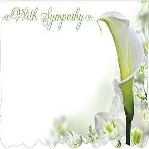 동정 조의 인클로저 카드 50팩 포함