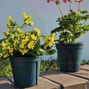 [콩심팥심]슬릿형 원형 플라스틱 화분 가벼운 식물 실내 정원