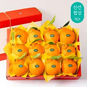 [탐라왕] 한라봉 3kg 선물세트 중과, 대과