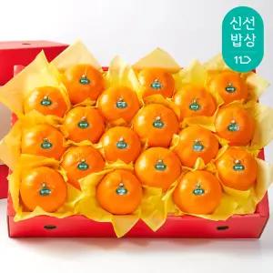 [탐라왕] 천혜향 4.5kg 선물세트 중과, 대과, 특대과