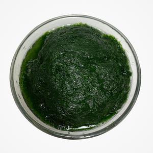 무안 생감태 찰감태 가시파래 물감태 5kg 10kg