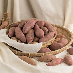 해남 꿀고구마 10kg 특상급