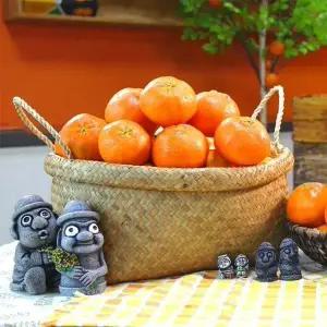 [햇살맞춤]산지직송 제주 못난이 레드향 5kg 사이즈 랜덤 가정용 제주연가