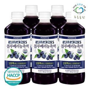 미국산 블루베리 농축액 원액 주스 100  무설탕 650gx5병