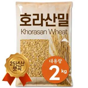 [25년 햇곡] The큰나무 터키산 호라산밀 2kg(1kgx2팩) 햇 호라산밀 착한 탄수화물 황금밥 고대곡물