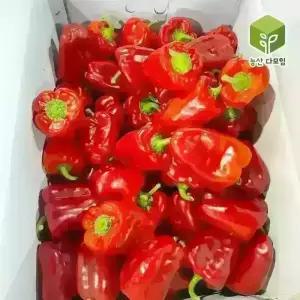 국내산 빨간피망 홍피망 상 10kg
