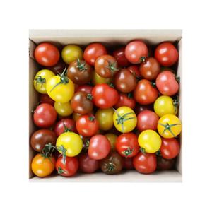 코스트코 국산 칵테일 토마토 4kg