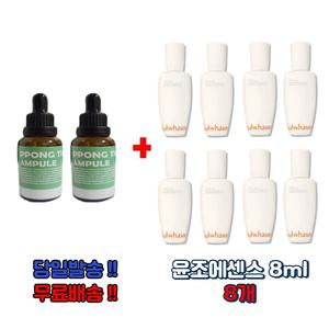 PPONG TREE앰플 20ml 구매시 설화수 윤조에센스 8ml 8개