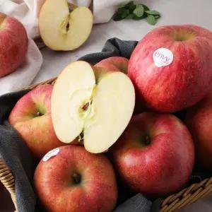 갤러리아 [맛딜]고당도 프리미엄 엔비 사과 정품 4kg 소과