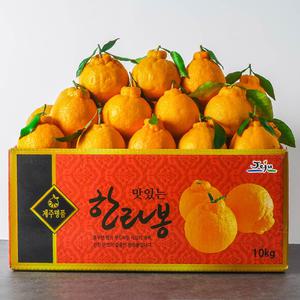 [장터할매]제주 한라봉 4.5kg 9kg 대용량 벌크 가정용 제철과일