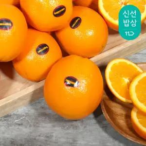 썬리지 슈프림 블랙라벨 오렌지 중과 대과 3.5kg 7kg