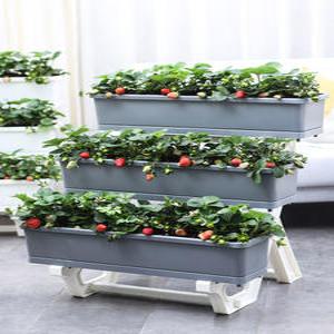 계단식 딸기 화분 수직 다육이 실내 온실 가꾸기 원형 텃밭 조경 정원 발코니 베란다