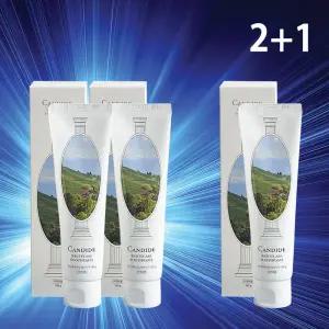 칸디데 화이트 치아 미백 케어 치약 X3 누렁니 누런 이빨 개선 칸디대 칸데디 켄디데 캔디데