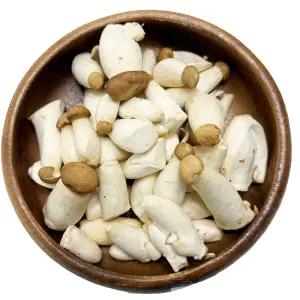 야채이야기 맛있는 국내산 미니새송이버섯 1봉지 (약 3000g) 꼬마 총알 새송이