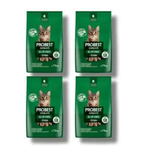 프로베스트 캣 그린 전연령 5kg 4개