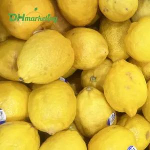 못난이 레몬 15kg 벌크