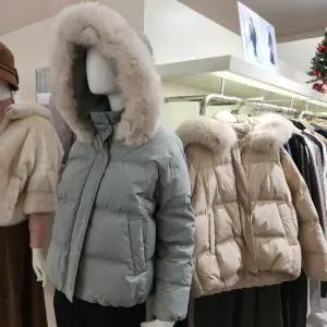 [꼼빠니아] HC28 폭스덕 덕 Caew1wih210 (S43185540)