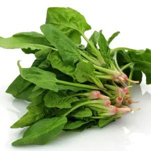 해풍맞은 달큰한 남해안 보물초 시금치 1kg