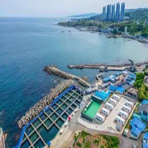 [경북] 포항 해원카라반&바다낚시터(경북, 포항)