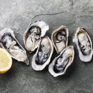 100%국내산 제철 바위굴 석화 각굴 5kg 통영의 신선함을 그대로 발송